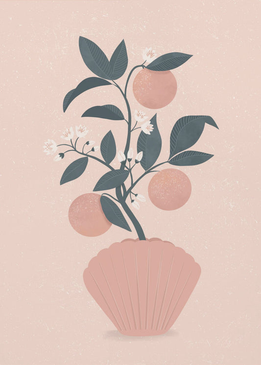 Tangerine Shell | Poster