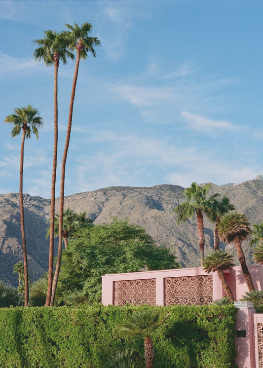 Roze Huis Palm Springs | Poster