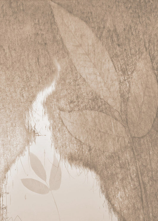 Waterspiegel | Poster