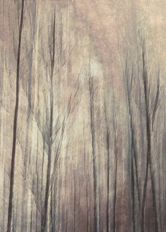 Herfstbos | Poster