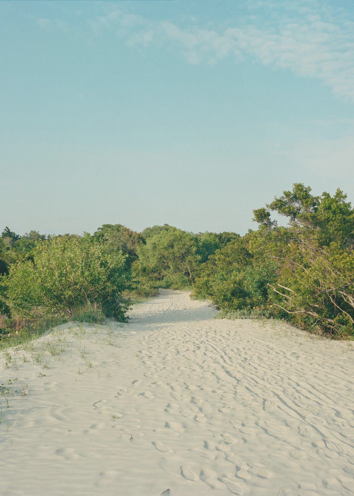 Sullivans Eiland | Canvas