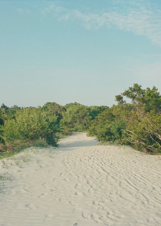 Sullivans Eiland | Canvas