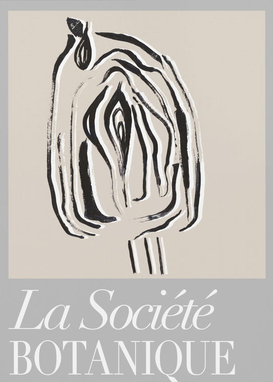 Zaadpod van La Société Botanique | Poster