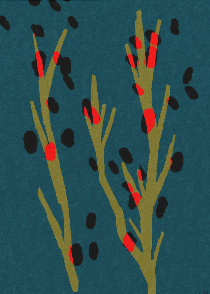 Botanische D | Canvas