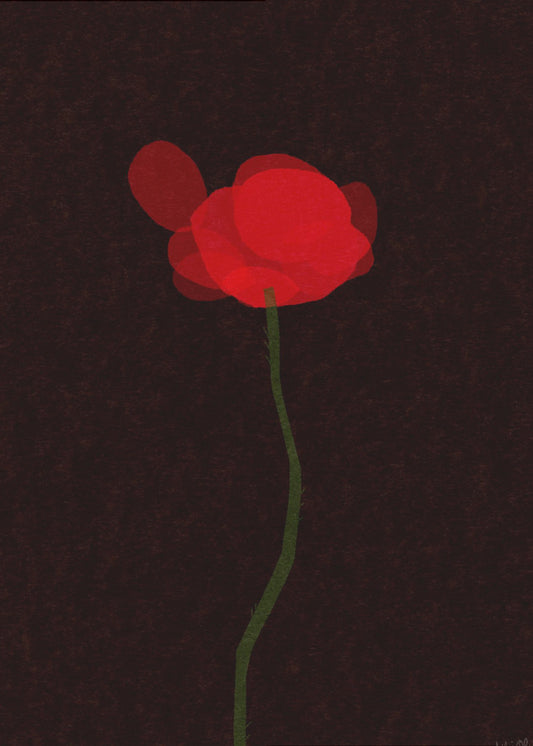 Klaproos | Canvas