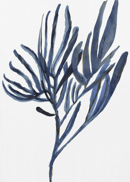 Blauwe waterplant poster 2 | Poster