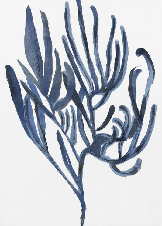 Blauwe waterplant poster 3 | Poster