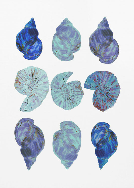 Poster met blauwe schelpen | Poster