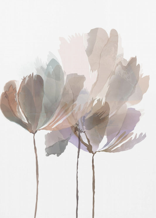 Blozende roze bloemen | Poster