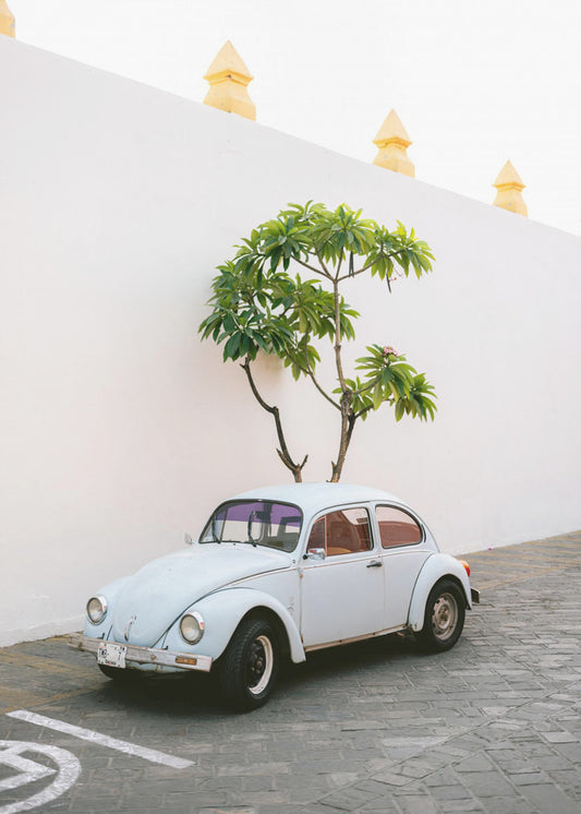Pastelkleurige Volskwagen Kever in de straten van Oaxaca, Mexico | Canvas