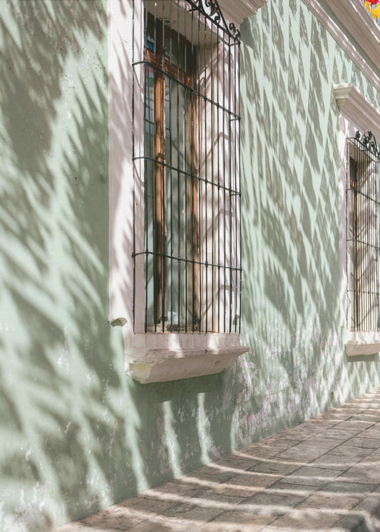 Groenen van Oaxaca | Reisfotografie Mexico | Canvas