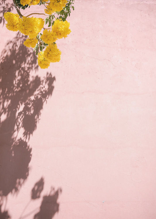 Geel en roze | Oaxaca Mexico | Canvas