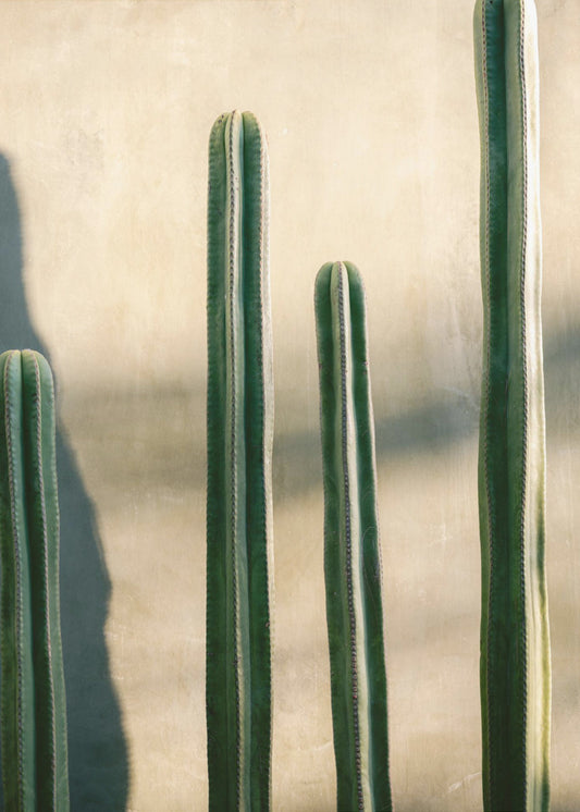 Oaxaca tinten groen | Mexico reisfotografie | Canvas