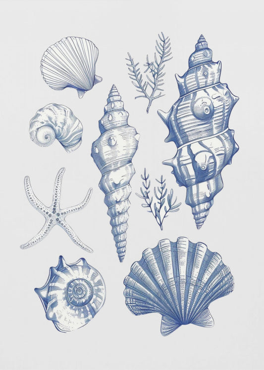 Schelpencollage | Canvas