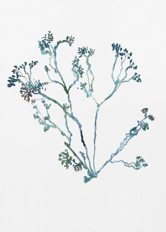 Delicate blauwe bloemen 2 | Poster