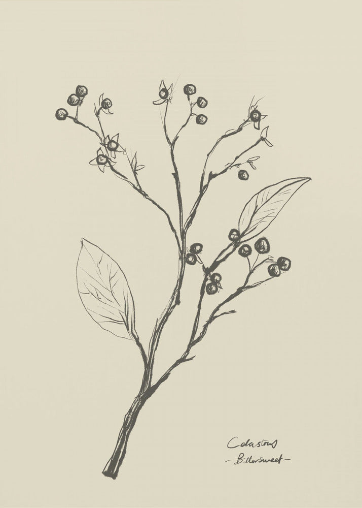 Bloemen 2 | Poster