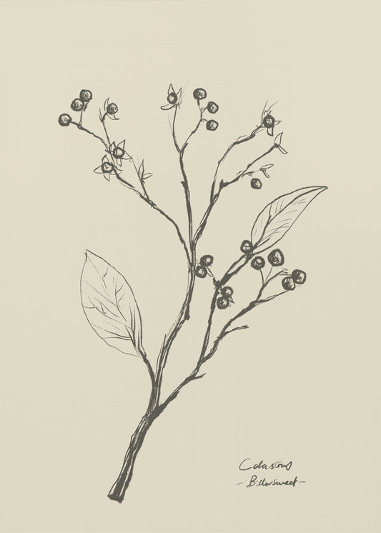Bloemen 2 | Canvas