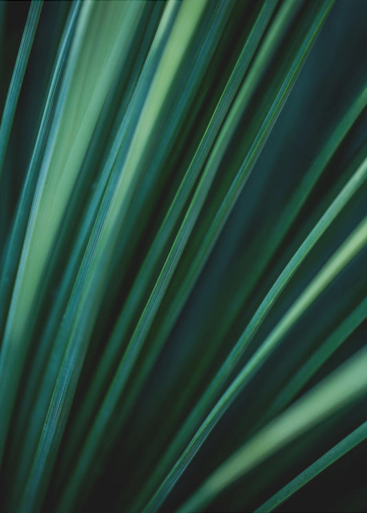 Groene rietjes 2 | Poster