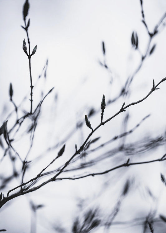 Wintertakken 2 | Canvas