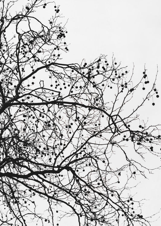 Wintersilhouetten 5 | Canvas