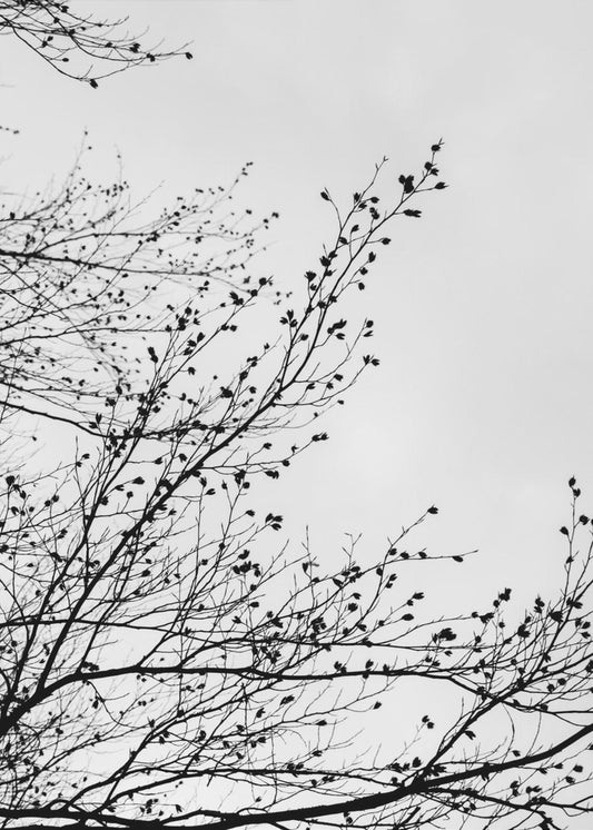 Wintersilhouetten 7 | Canvas