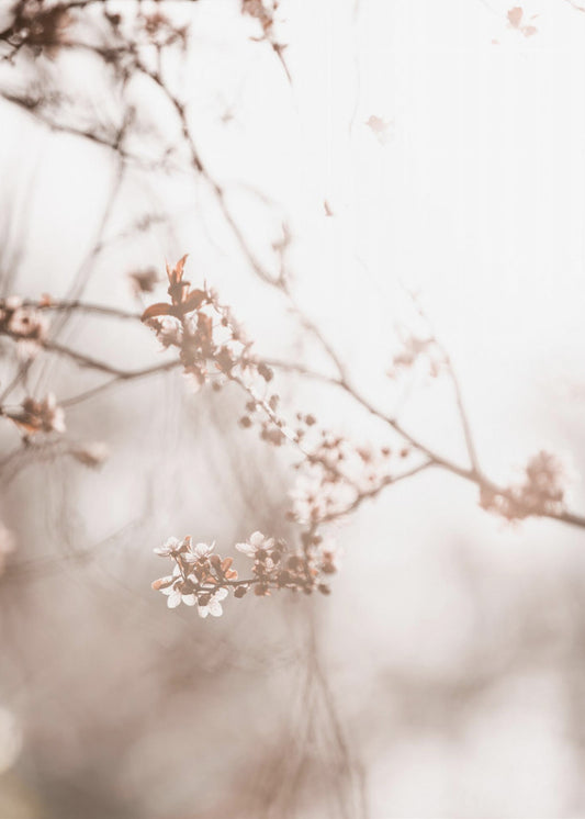 Laatste Lente 3 | Poster