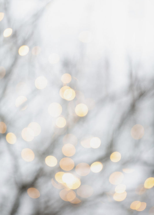 Winterlichten 2 | Canvas