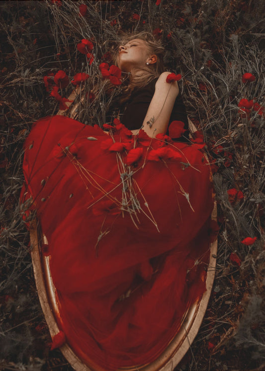 Ingelijst met klaprozen | Canvas