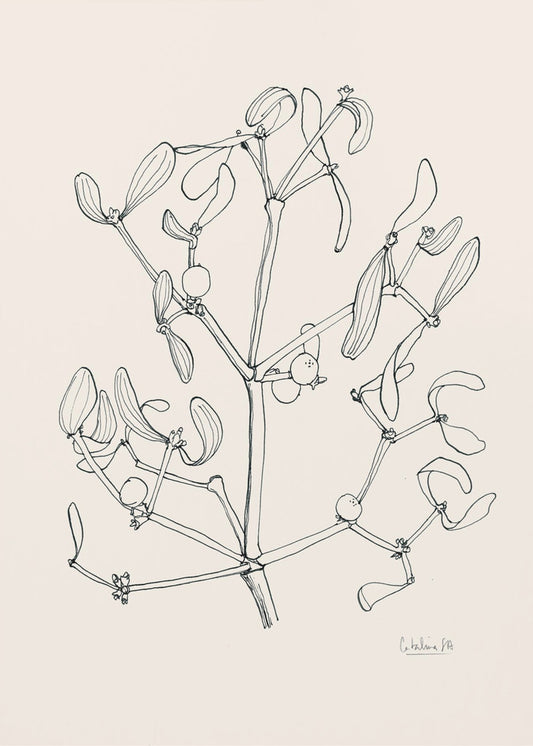 Misteltoe-inkttekening | Canvas