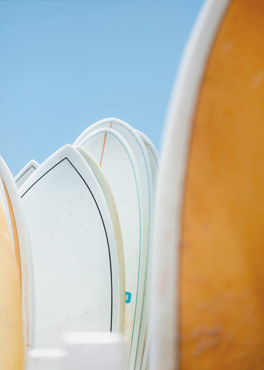 Surf Vibes | Canvas