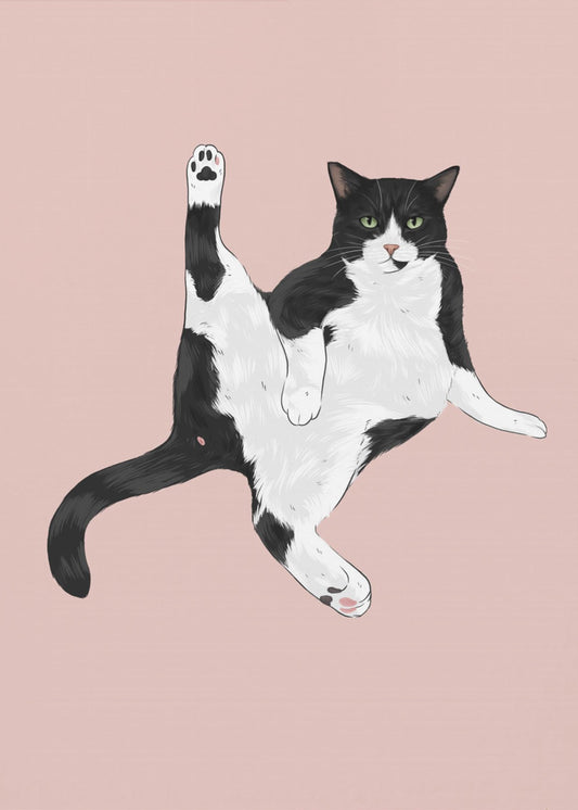 Kat in een grappige pose | Canvas