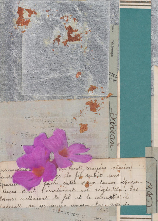 Pink Flowers II | Canvas
