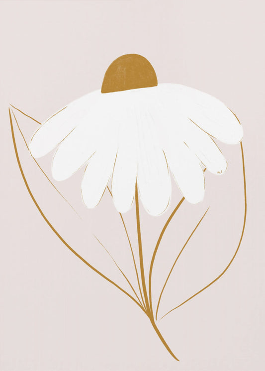 Witte Margriet | Poster