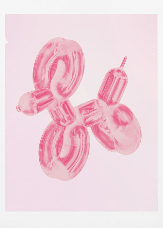 Ballonhond | Poster