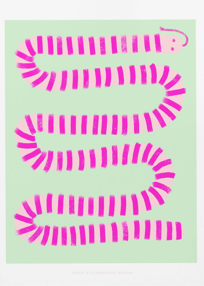 Pandc Pinksnake-kopie | Canvas