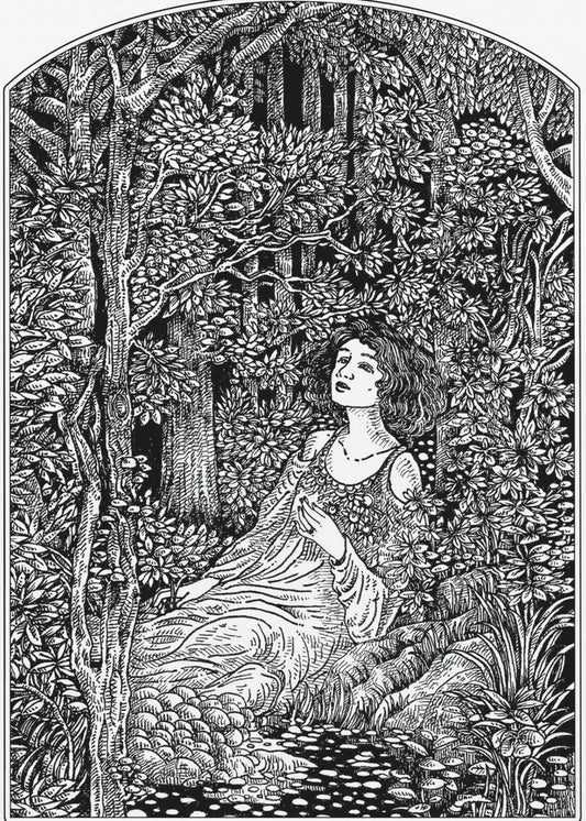 Vrouw in het bos | Poster