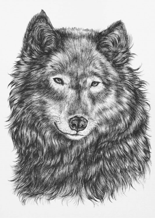 Wolf | Canvas