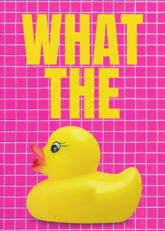 Eendenverrassing | Poster