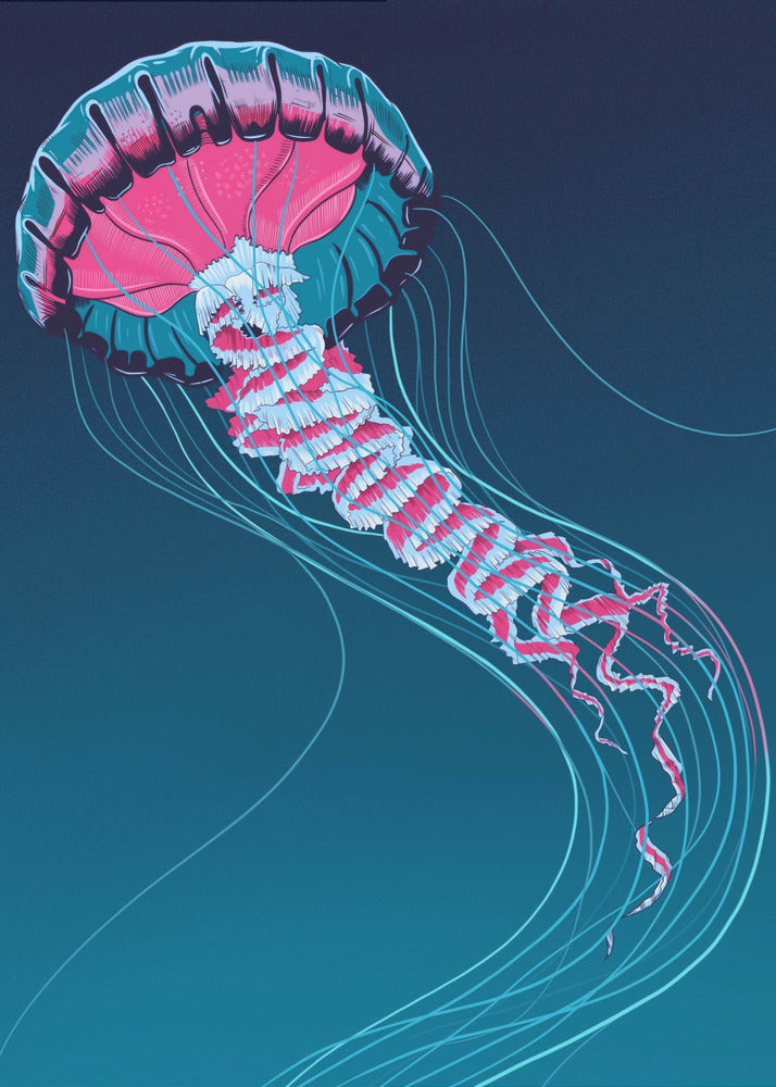 Lions Mane Jellyfish | Poster