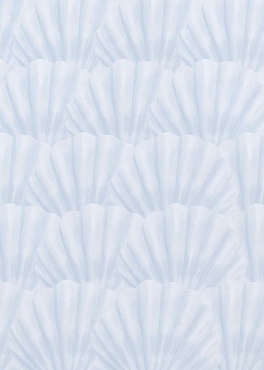 Schelpen | Canvas