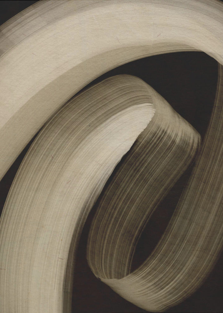 Gebogen Essentie | Canvas