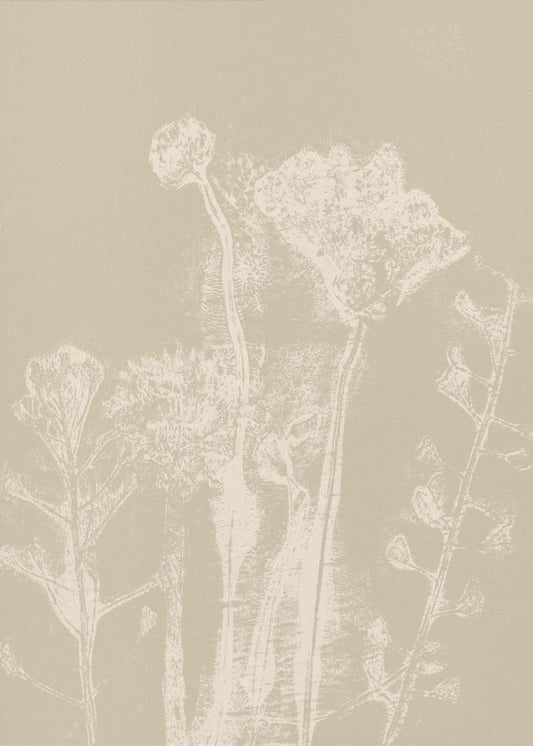 Abstracte bloemen. Witte weideplanten en bloemen op neutraal beige. | Poster