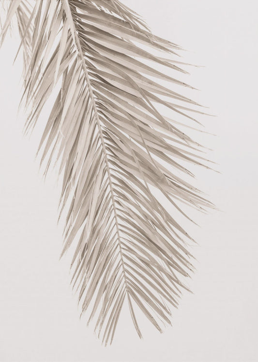 Bruin blad 2 | Canvas