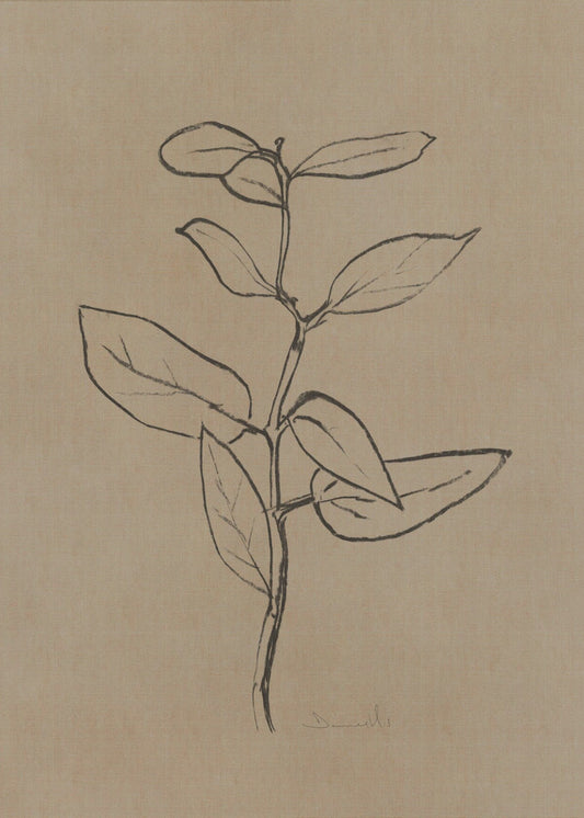 Eucalyptusboompje | Canvas