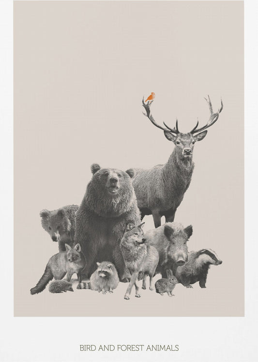 Bird and Forest Animals | Poster