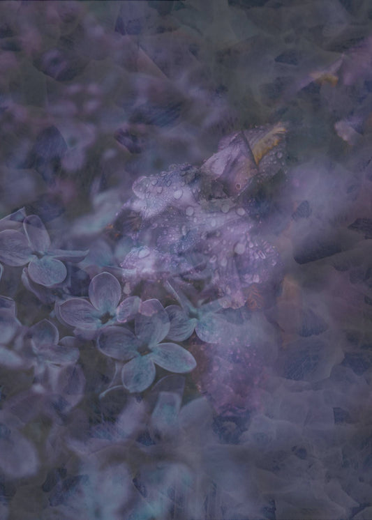 Lente #12.png | Canvas