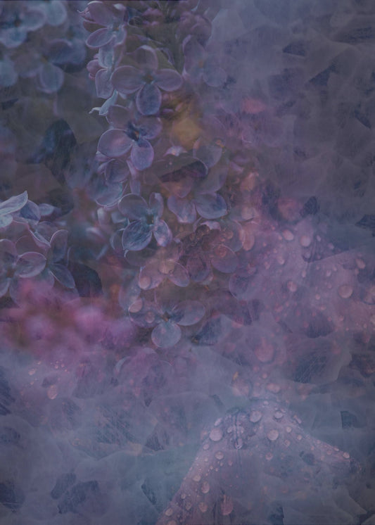 Lente #13.png | Canvas