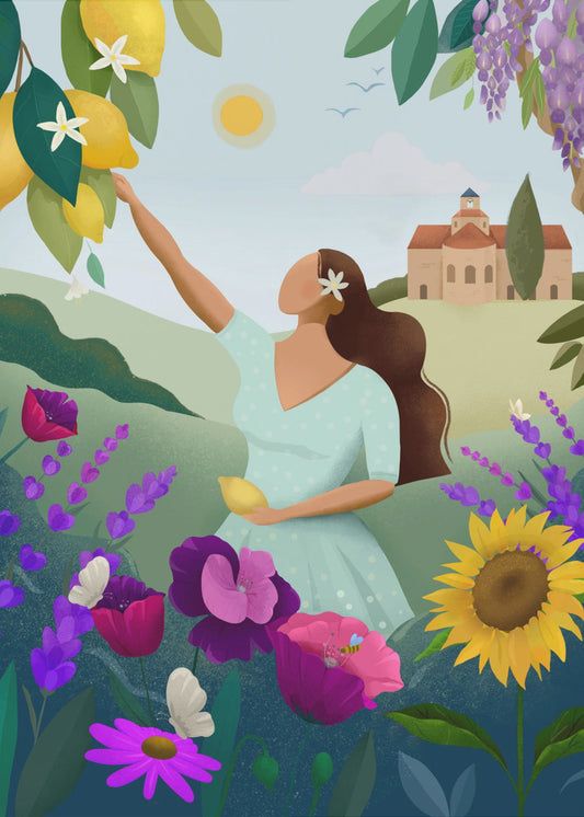 Zomer in de Provence | Poster