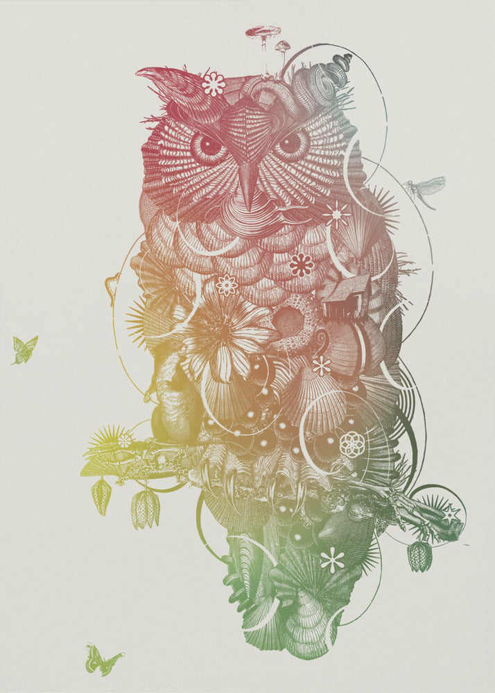 Uil | Canvas