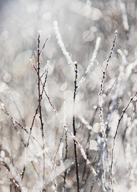 Een winterochtend 4 | Canvas